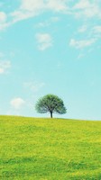 descargar wallpaper de Naturaleza